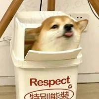 kkb20