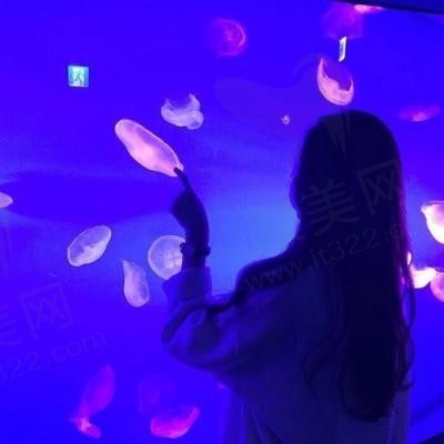 铭铭