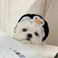 飞镜