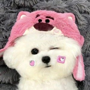 养乐多