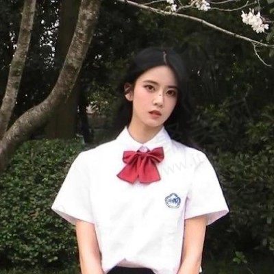 申敏儿