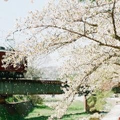 云云与