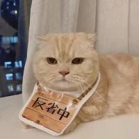 爱吃的小甜姐