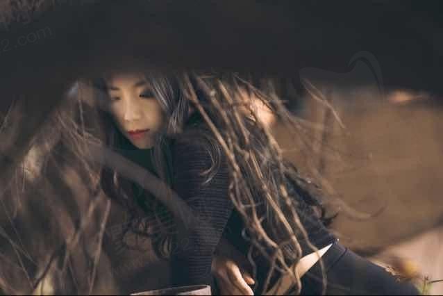 肖邦的夜曲