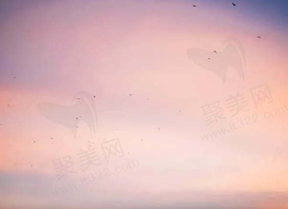 吉米吉米