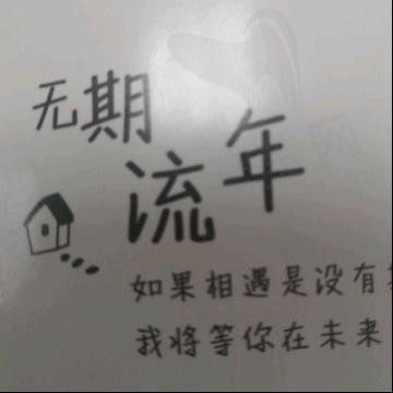 九梦
