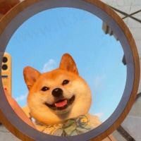 嘻嘻