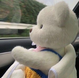 西柚的西  