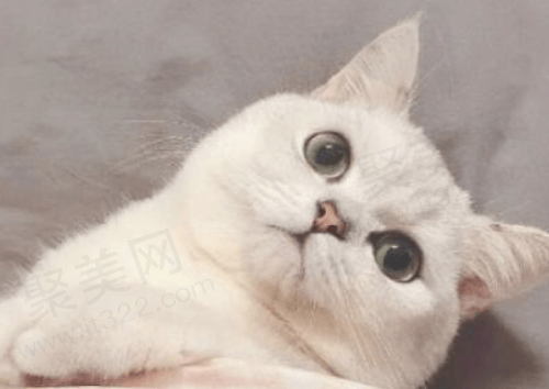 急躁躁~