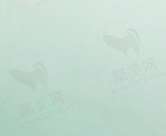 崽崽