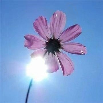 浪花拍过