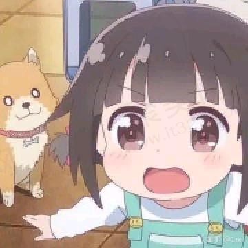 时光刻本