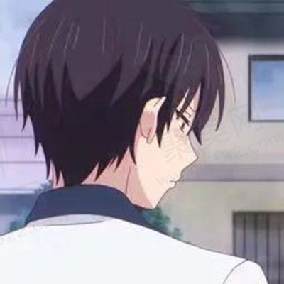 侠岚