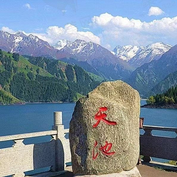 焦肉丝