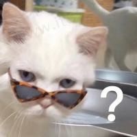瞅我干嘛