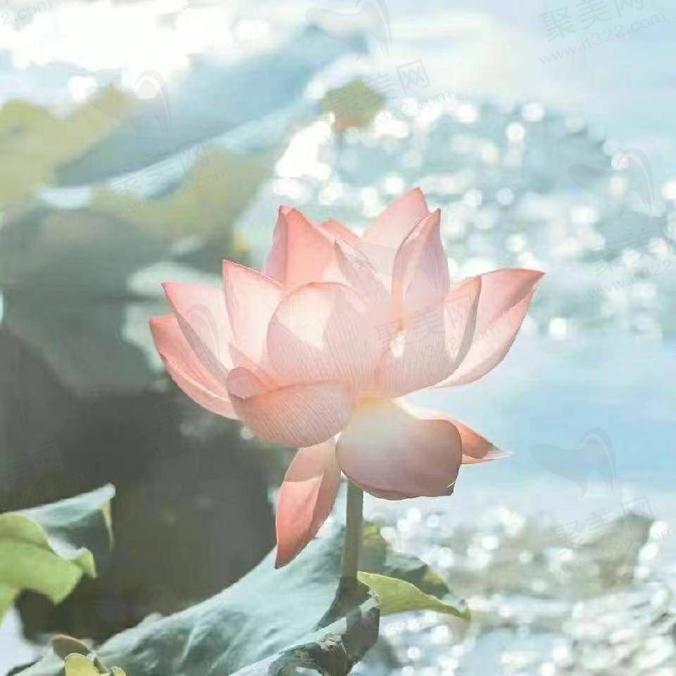 记忆格式化