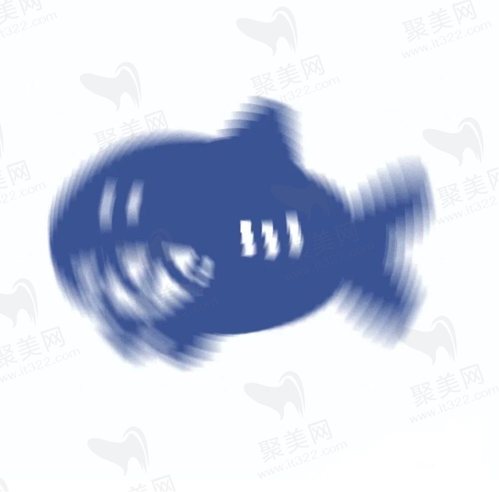 小鲨鱼