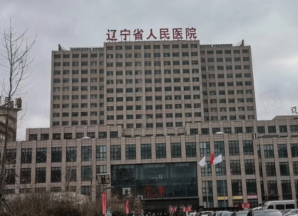 辽宁省人民医院