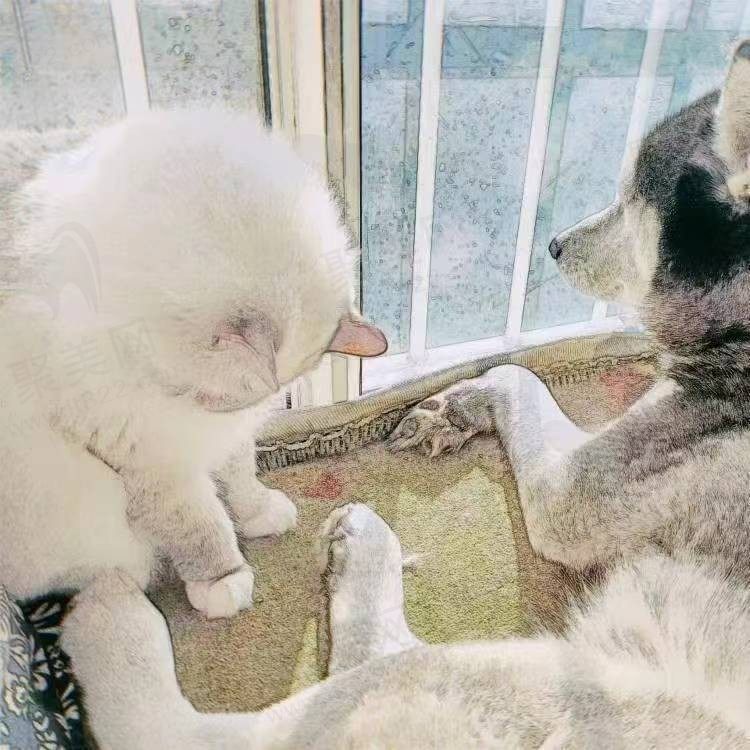 温柔了四季