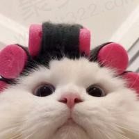 看什么看