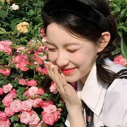 紫色郁金香