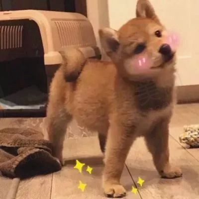 薯条
