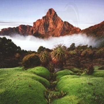 黑那
