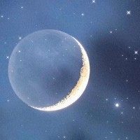 肥橙橙子