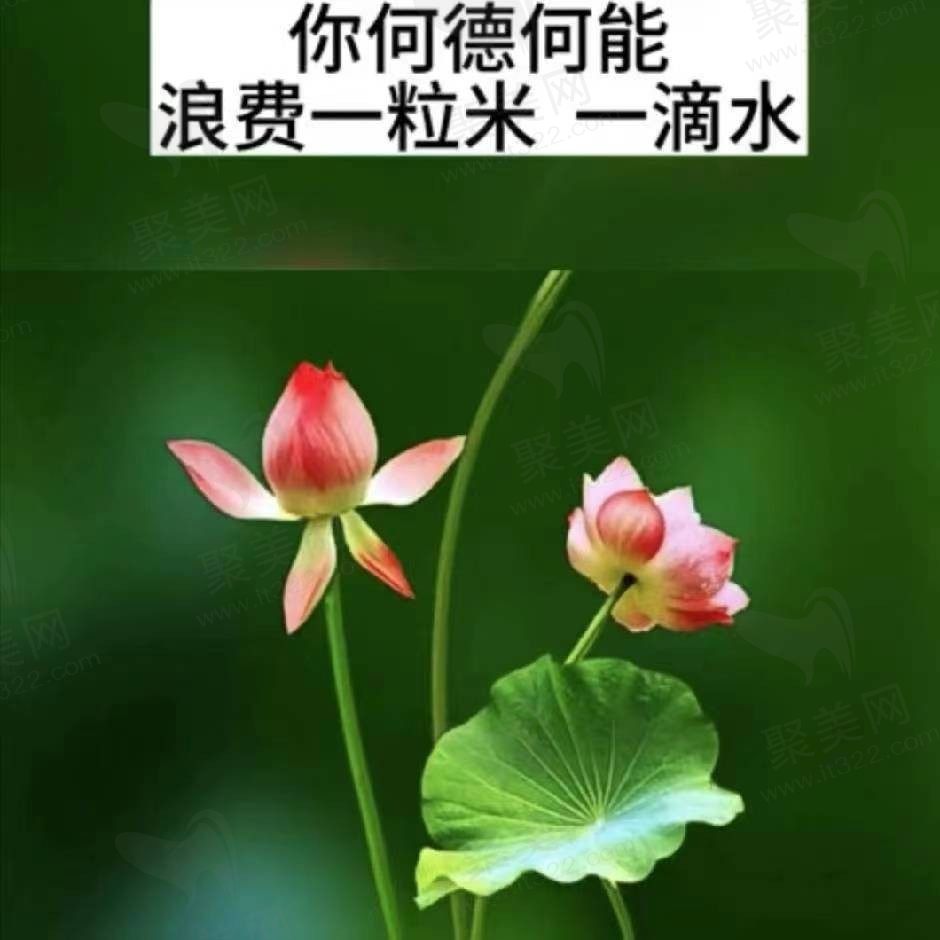落日余晖