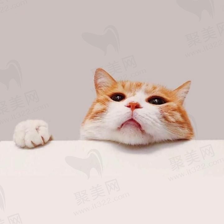 久经世年