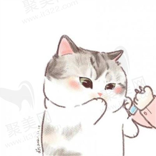卟卟