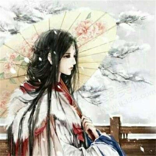 菲斯
