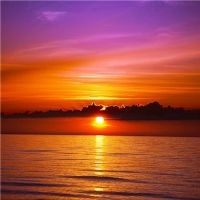 太阳光和热