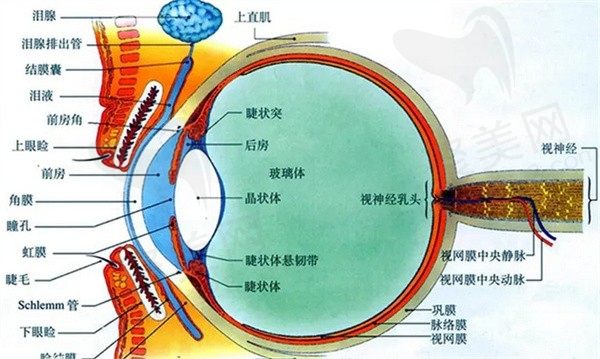半飞秒激光手术后还会近视吗？求过来人讲讲利弊价格及恢复期