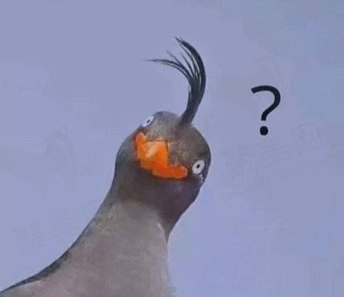 打副本c