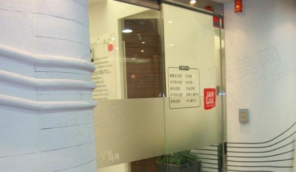韩国雕刻整形外科医院