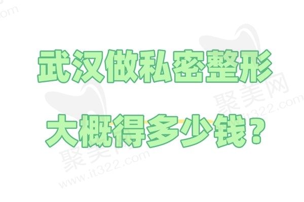 武汉做私密整形大概得多少钱？盘点武汉做私密整形费用及好的医院名单