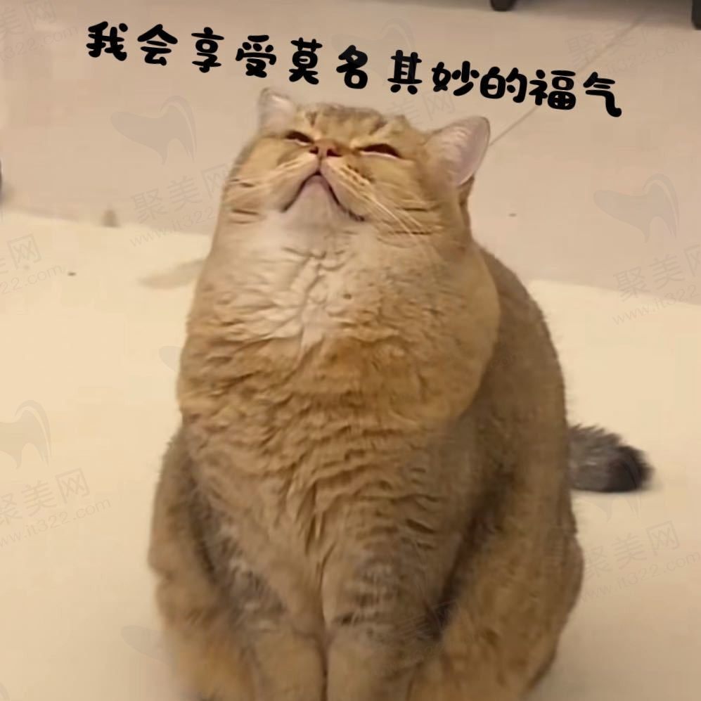 幼儿园一姐
