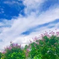 倩倩与欢欢