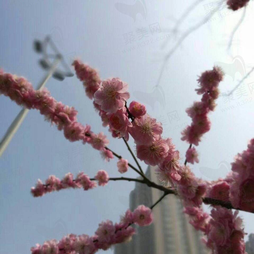 南港晓洛