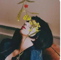 沐沐