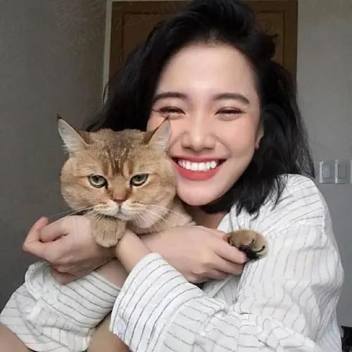 他的猫