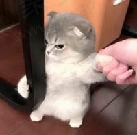 瑞瑞很热