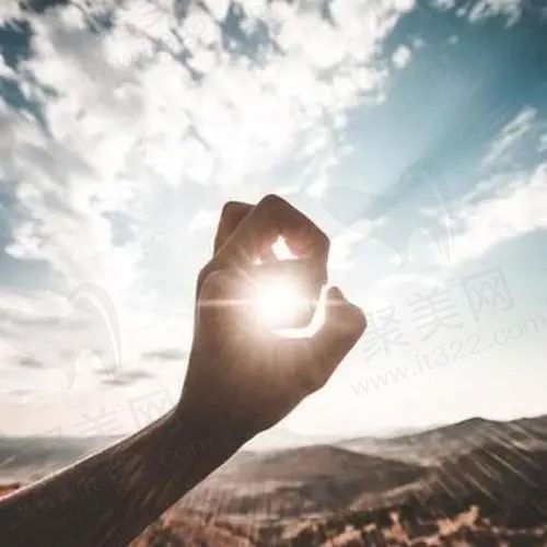 一棵树