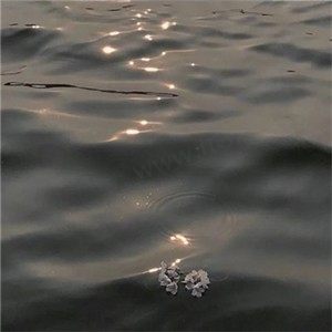 火锅脑袋
