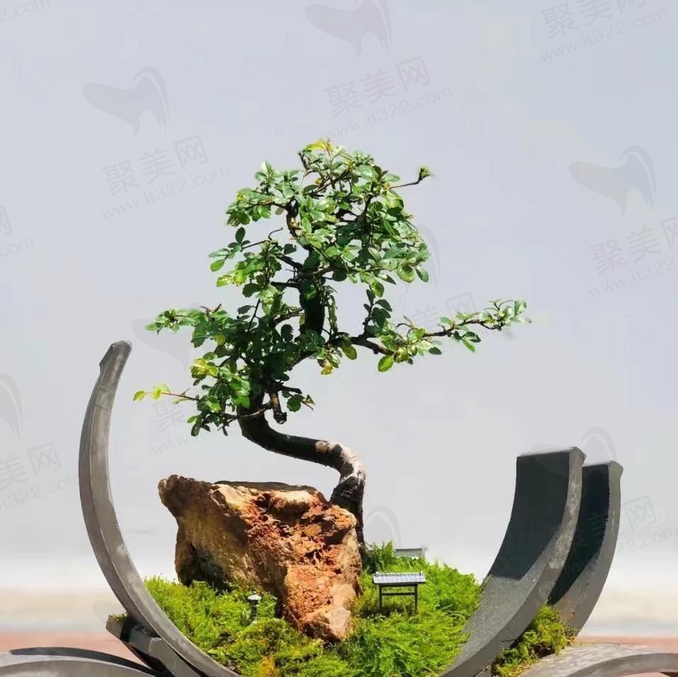 微风醉人