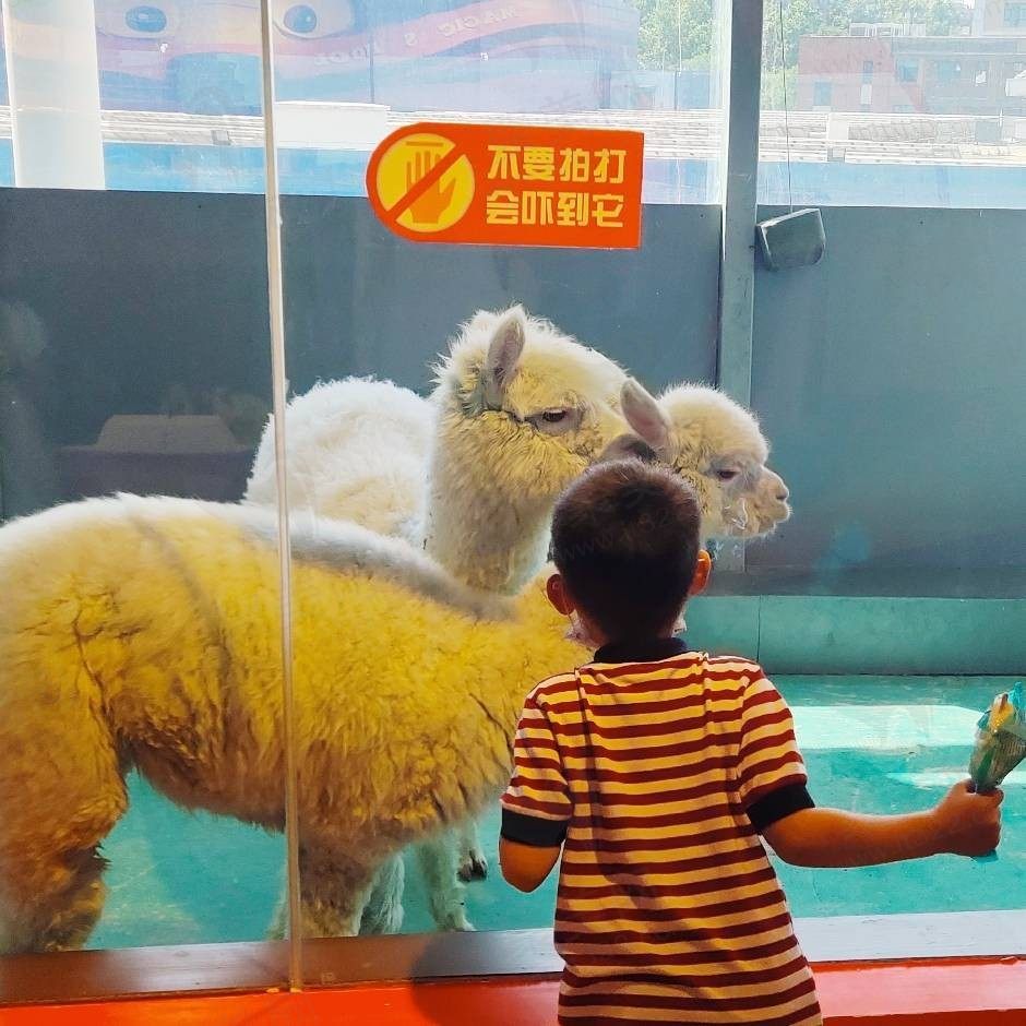 终点站的幸福