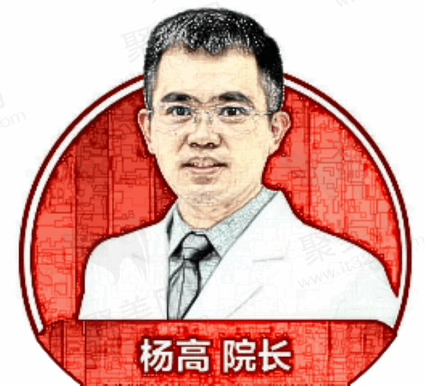 杨高