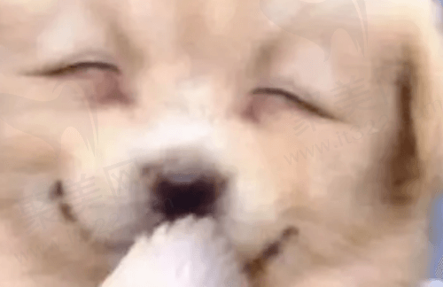 偷笑