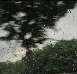 橄区
